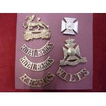 Royal Berkshire, Wilshire, Duke of Edinburgh's Royal regt-anodised cap badges (3), shoulder titles-