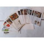 Vatican 2009-2010 - nice clean batch of First Day Covers (19)