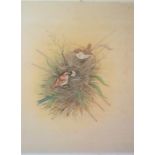 Painting-Water Colour on Silk-Wrens Nesting - a delicate fine painting 12" x 14" approx.-requires