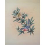 Painting-Water Colour on Silk- Finches-a quality painting 12"x14" approx., requires remounting