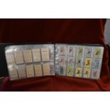 Cigarette Cards. "Dogs" a full album in plastics - a wide range of issues (100's)