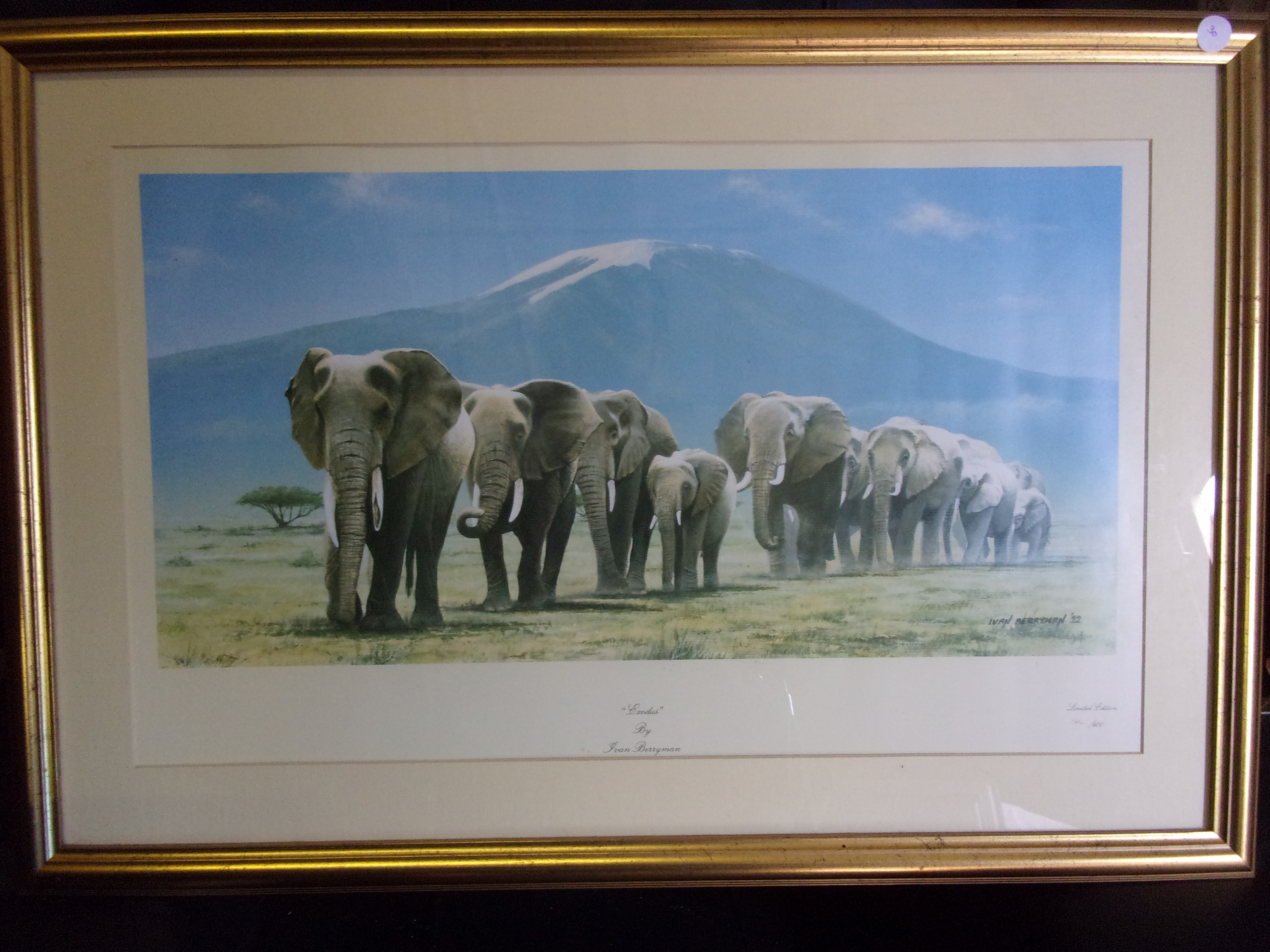 Berryman, Ivan - 'Exodus' Elephants in File, Fine gilt framed Limited Edition Colour Print signed