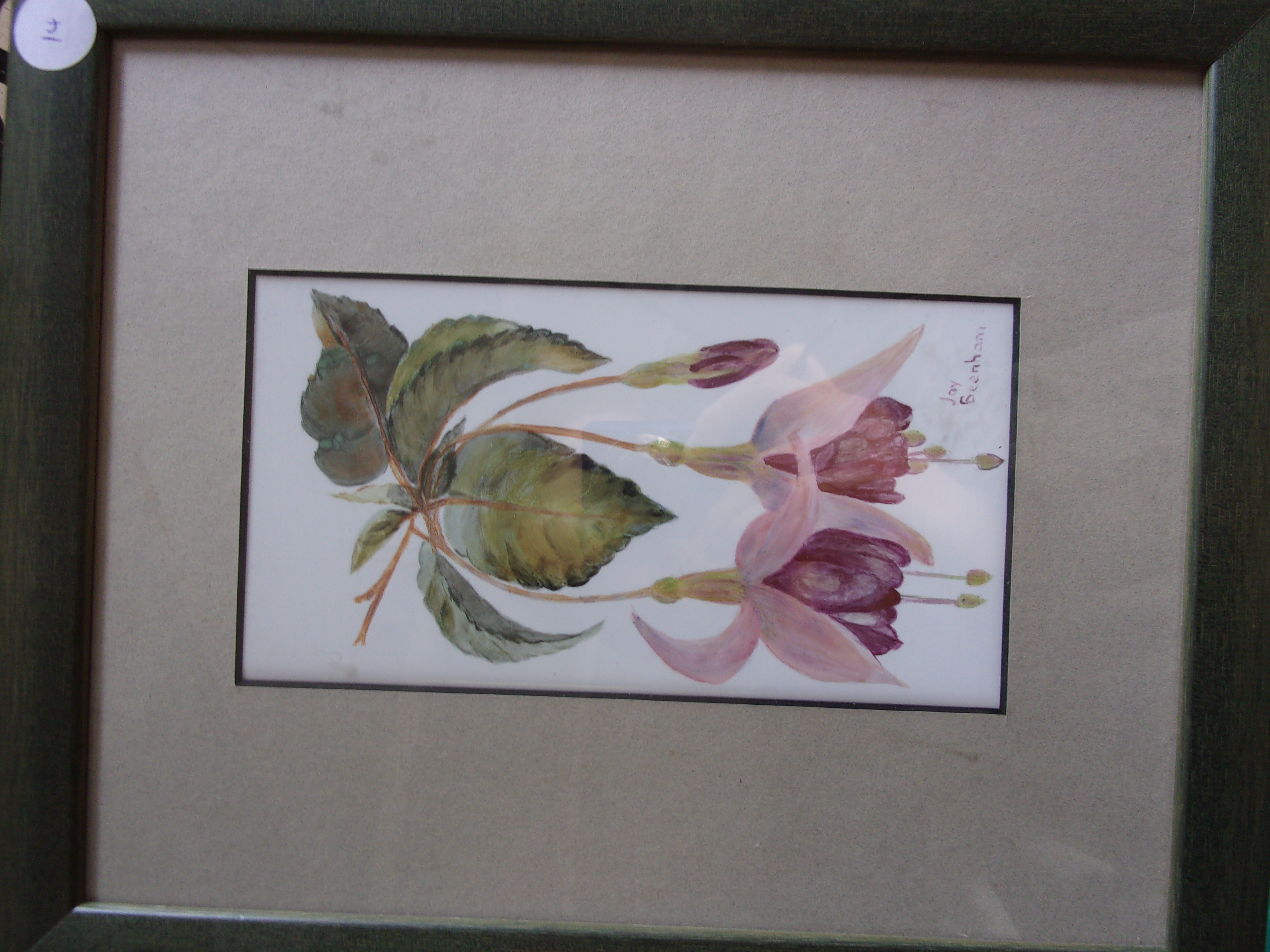 Beenham, Joy - A delightful painting on glass "Fuchsia", Signed, framed 10" x 12"