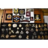 A collection of (50) Cap Badges and Cloth Patches, Some Original and Some Restrikes within this