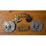 London Scottish Cap Badges (2) and 1st Royal Dragoons and Blues & Royals Cap Badges (4) in total and