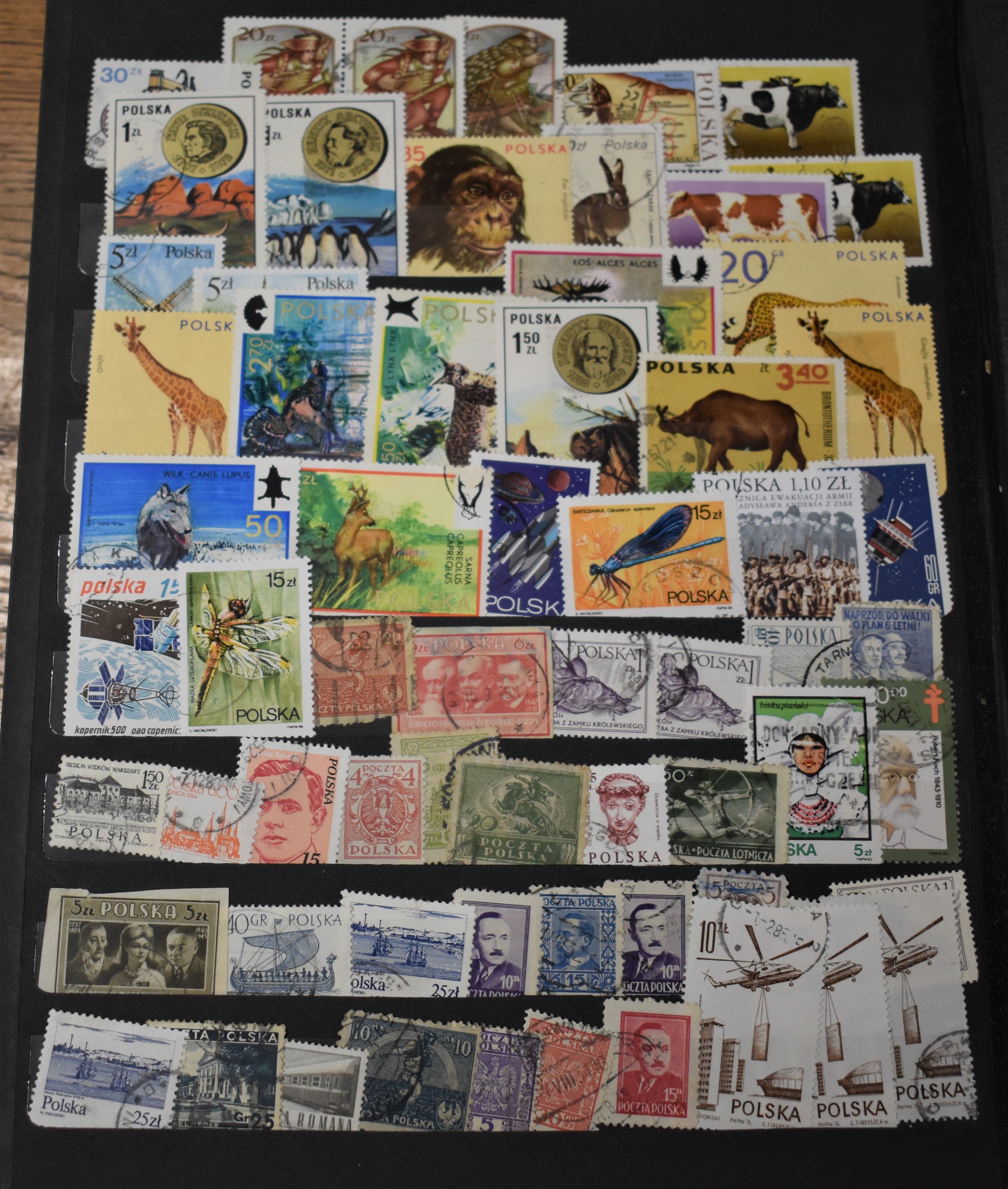 Assorted accumulation in a full stockbook with wide range of Sweden (100's), Finland (100's) with - Image 2 of 3