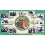 Great Britain FDC's 2001 (13 Feb) Cats and Dogs set FDC with Catshill Bromsgrove h/s, Benham (BLCS