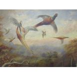 F. G. RADFORD, signed oil on canvas dated 1925 "Pheasants in Flight", 18" x 24"
