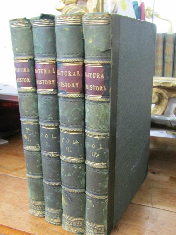 CASSELL'S, "Popular Natural History", 4 volumes with a quantity of colour engravings