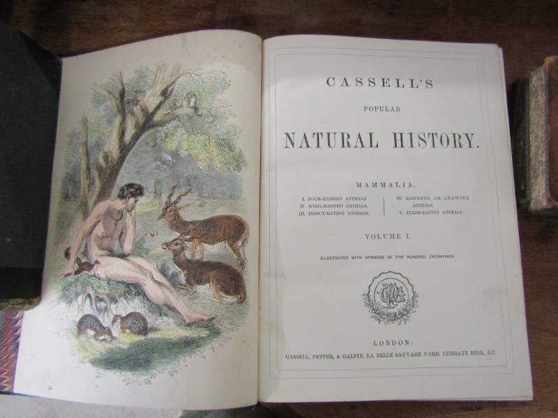 CASSELL'S, "Popular Natural History", 4 volumes with a quantity of colour engravings - Image 2 of 2