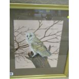 D. BEAN, signed watercolour dated 1981 "Portrait of White Owl", 12" x 10"