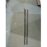 WALKING CANES, silver capped ebony walking cane and 1 similar