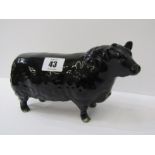 BESWICK CATTLE, Aberdeen Angus Bull, gloss finish