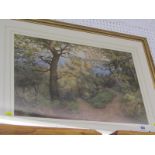 R. DAVIDSON, signed watercolour "Woodland Path", 15" x 23"