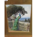 INA CLOGSTOUN, signed watercolour "The Peacock", 12.9"