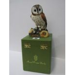 ROYAL CROWN DERBY BIRD, boxed figure of Brown Owl