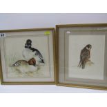 S. WHITCOMB, two signed bird watercolours "Peregrine Falcon" & "Golden Eye Duck", 8" x 8"