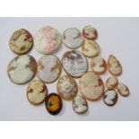 SELECTION OF MIXED SHELL CAMEOS AND CAMEOS