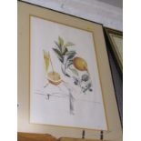 SALVADOR DALI, limited edition colour print "Les Fruit-Grapefruits", signed in margin "Dali", 22"