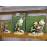 ROYAL CROWN DERBY BIRDS, three boxed groups, "Thrush Chicks", "Green Woodpecker" & "Robin"