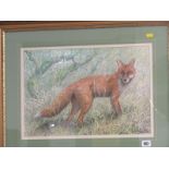 DICK TWINNEY, signed watercolour dated 1988, portrait of "Fox", 12.5" x 18"