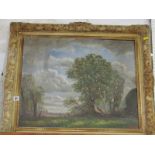 JAMES BRADLEY, signed oil on board "Tree Landscape", 19" x 23"