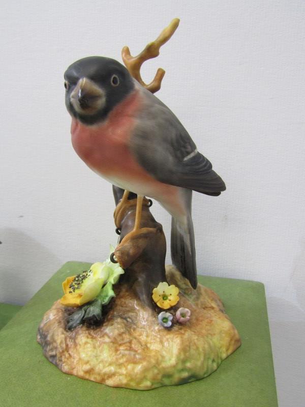 ROYAL CROWN DERBY BIRDS, three boxed figures of Blue Tit & Chicks, Bullfinch & Kingfisher - Image 7 of 8