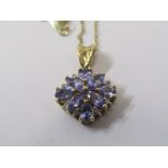 9ct YELLOW GOLD TANZANITE CLUSTER PENDANT OF FLORAL FORM, On 9ct yellow gold fine link necklace