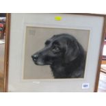 DONALD WOOD, signed pastel "Head & Shoulders Of Black Labrador", dated 1933, 8" x 10"