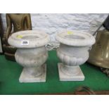 MARBLE, pair of square base fluted small display urns, 10" Height