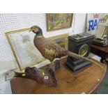 TAXIDERMY, mounted Pheasant on Tree Stump, 21" Height