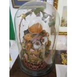 VICTORIAN WAX FRUIT DISPLAY, glass domed fruit display (extensively damaged), 18" height dome sound