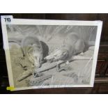 WILLIAM NEAVE PARKER, signed 1950s illustration "Rodents eating Lizard", 8" x 10.5"