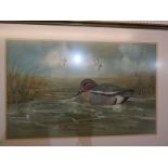 M. J. YULE, signed watercolour dated 1974 "Teal Mallard and Pintail", 18" x 28"