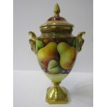 COALPORT, fruit decorated gilt pedestal twin rams head handled lidded vase, signed N Lear, 8.5"