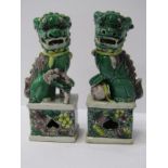 ORIENTAL CERAMICS, pair of Chinese famille verte temple dogs on plinths, 6" height