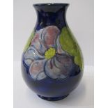 MOORCROFT, blue ground "Christmas Rose" pattern, 8.5" baluster vase, remains of Queen Mary paper