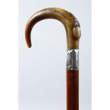 A GOOD 19TH CENTURY HORN HANDLED SILVER MOUNTED WALKING STICK, 88.5cm high.