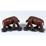 A APIR OF 19TH / 20TH CENTURY CHINESE CARVED HARDWOOD FIGURES OF ELEPHANTS, both in striding poses