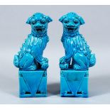 A PAIR OF 20TH CENTURY CHINESE TURQUOISE PORCELAIN LION DOG FIGURES, both on pedestal bases in a