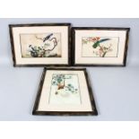THREE 19TH CENTURY CHINESE EXPORT PAINTINGS ON PITH PAPER, each framed and depicting a bird