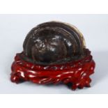 A 19TH CENTURY CHINESE FOSSILIZED WOOD SCHOLARS OBJECT ON STAND, the wooden scholars object inset to