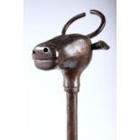 A QAJAR STEEL MACE MODELLED AS AN OX HEAD, 72cm long.