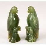 A PAIR OF 20TH CENTURY CHINESE CARVED JADE / HARDSTONE FIGURES OF PARROTS, 14cm high.