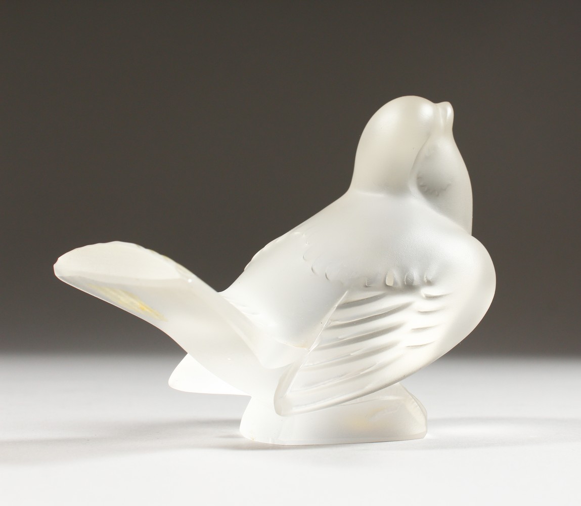 A LALIQUE FROSTED GLASS MODEL OF A BIRD, seated with folded wings, (small tail chip). 4ins long.