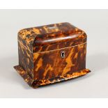 A 19TH CENTURY TORTOISESHELL TEA CADDY, on wooden feet. 6ins wide.