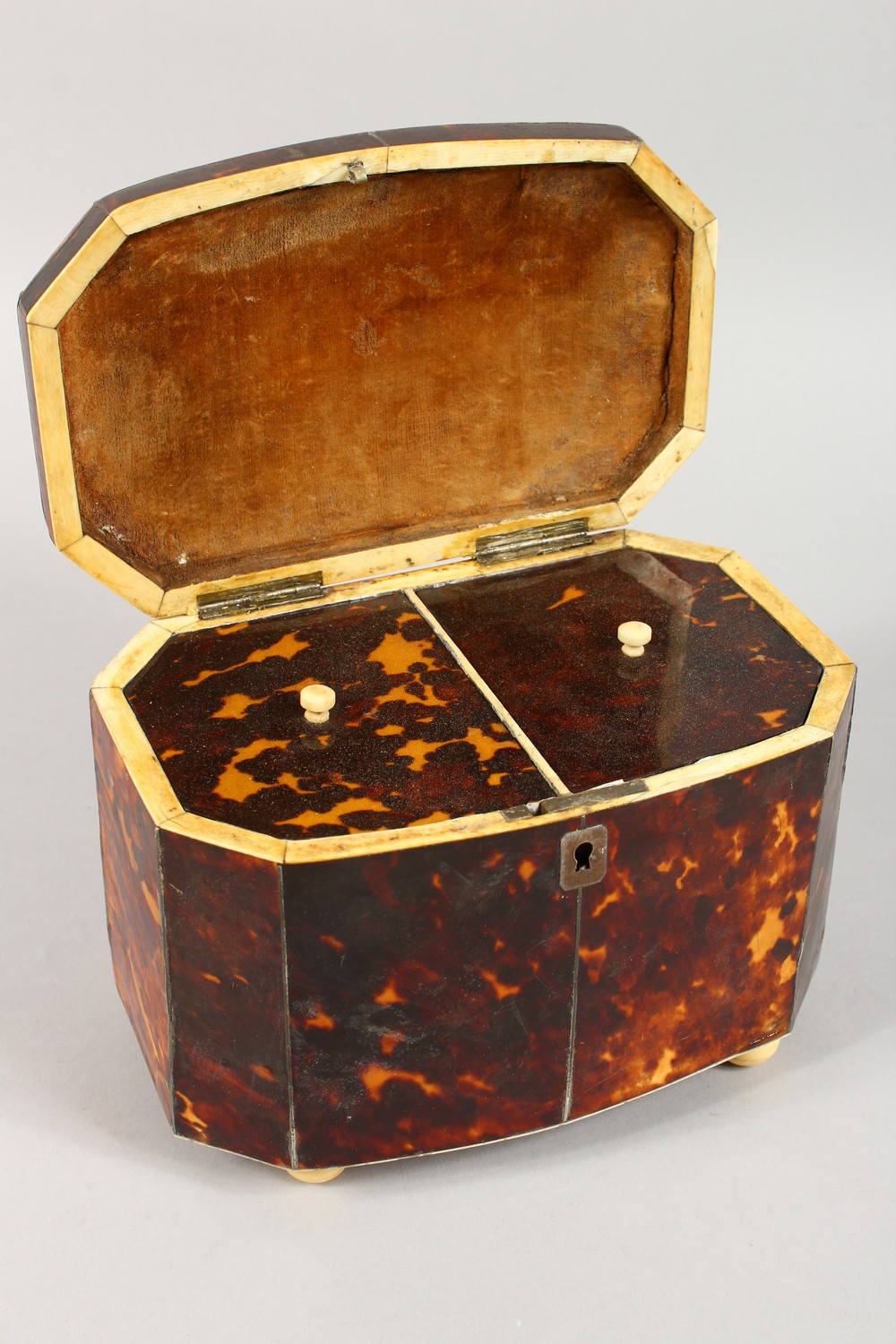 A 19TH CENTURY TORTOISESHELL TEA CADDY, of rounded rectangular form, on ivory ball feet. 7.25ins - Image 3 of 4