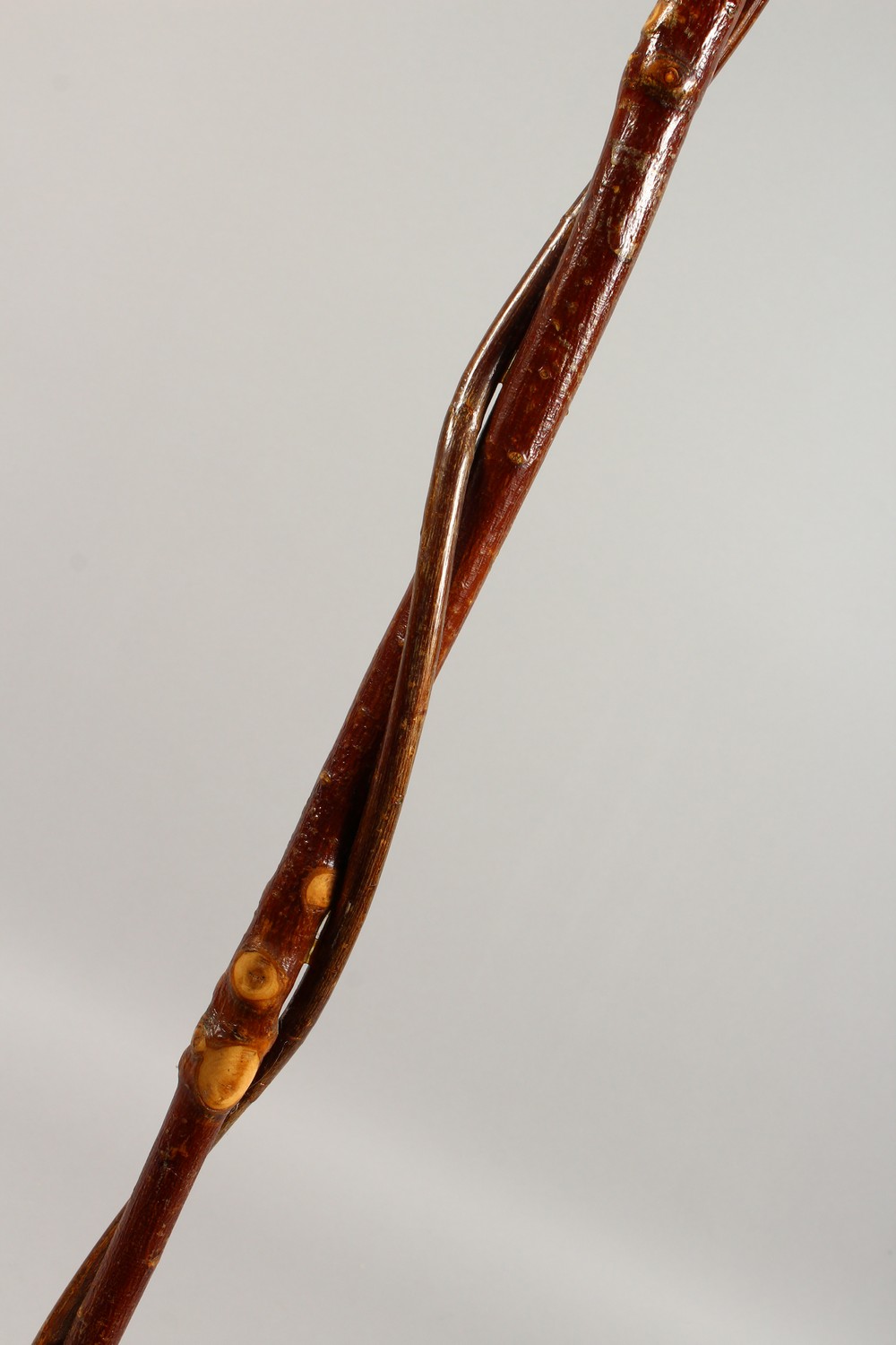 AN ENTWINED WALKING STICK, the handle carved as a pheasant. 55ins long. - Image 8 of 11
