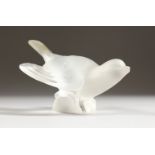 A LALIQUE FROSTED GLASS MODEL OF A BIRD, wings outswept, (base chipped). 5ins long.
