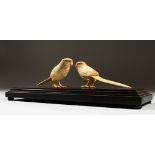 TWO EARLY 20TH CENTURY CARVED IVORY PARAKEETS, on an ebonised base. 13.5ins long.